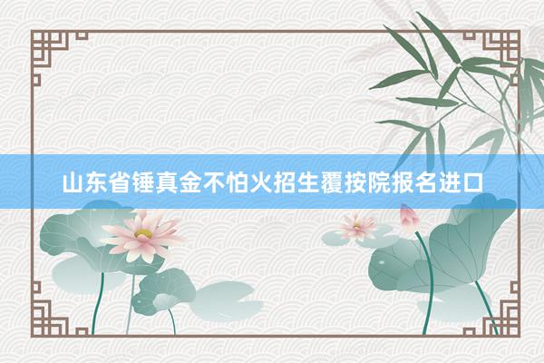 山东省锤真金不怕火招生覆按院报名进口